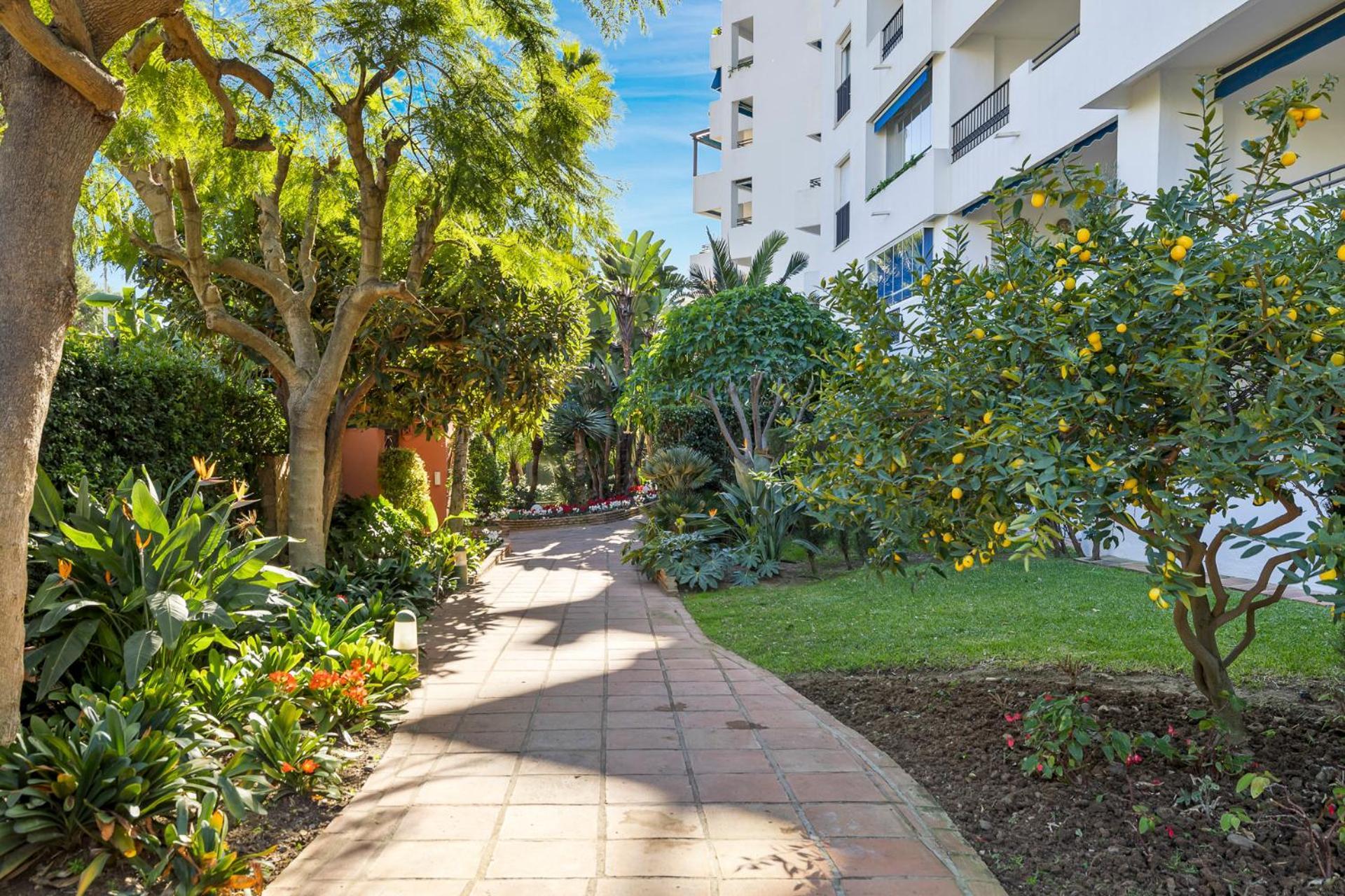 Charming And Spacious In Medina Garden - Puerto Banus Lägenhet Marbella